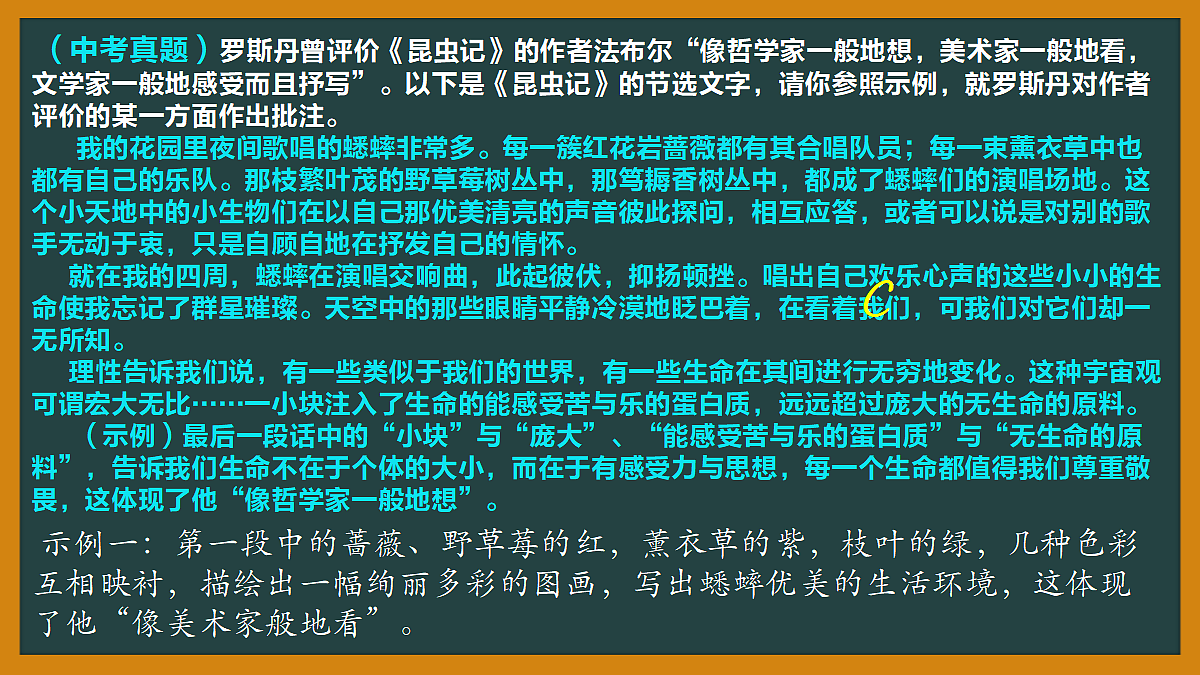 18495463第3页
