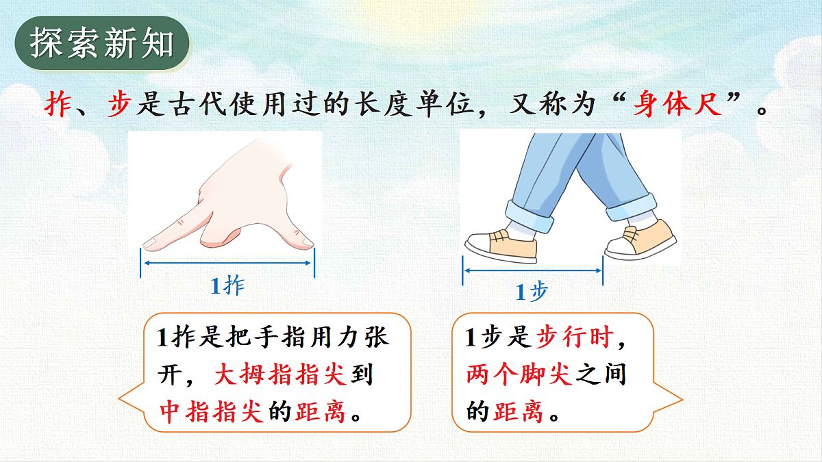 18495569第3页