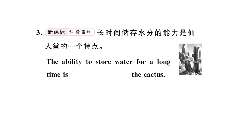 18495787第7页