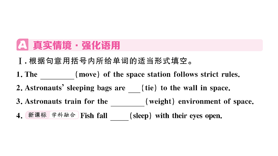18495795第2页