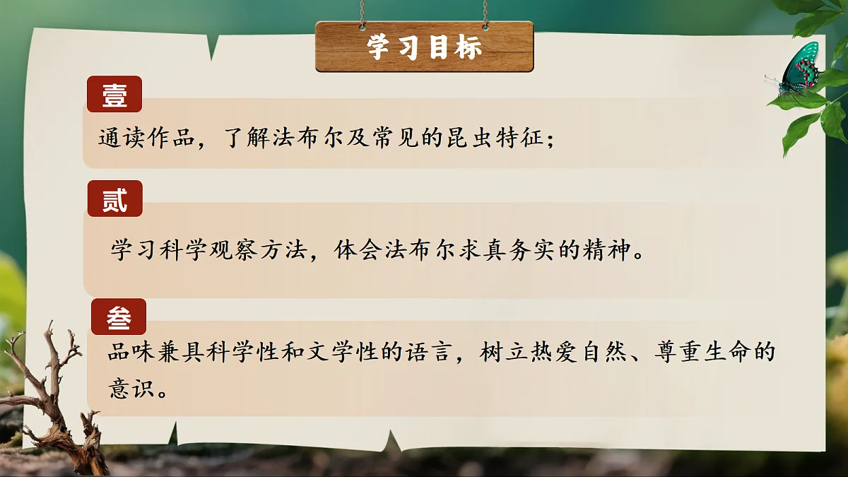 18496444第2页