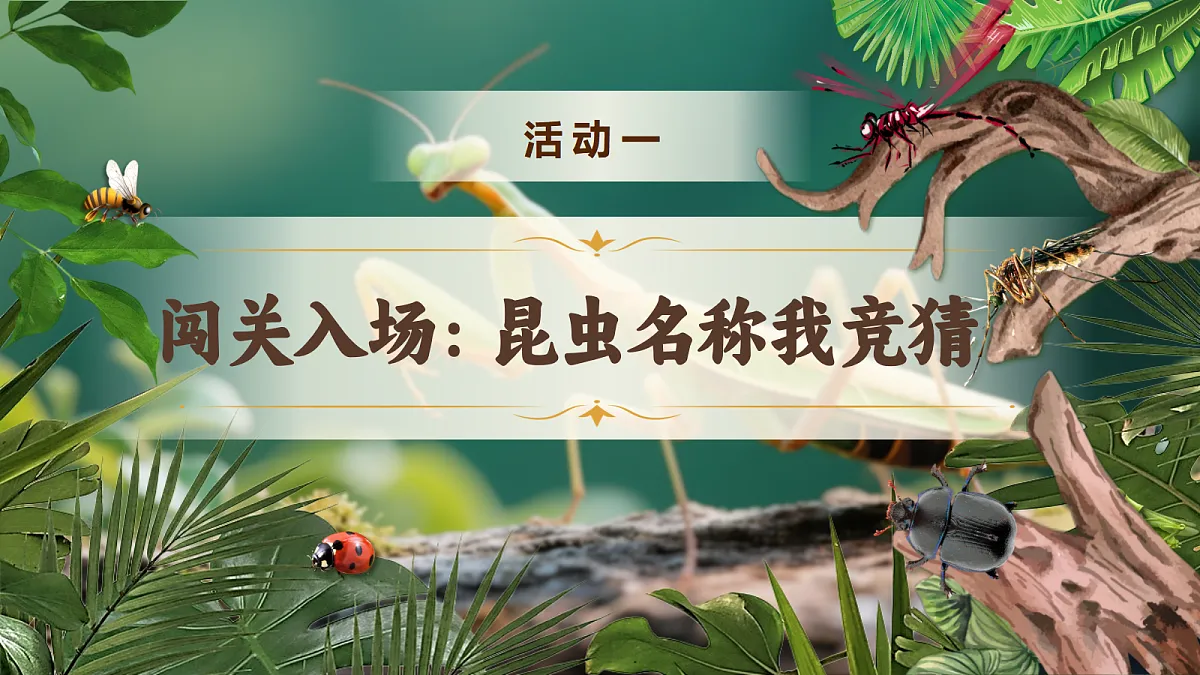 18496444第4页