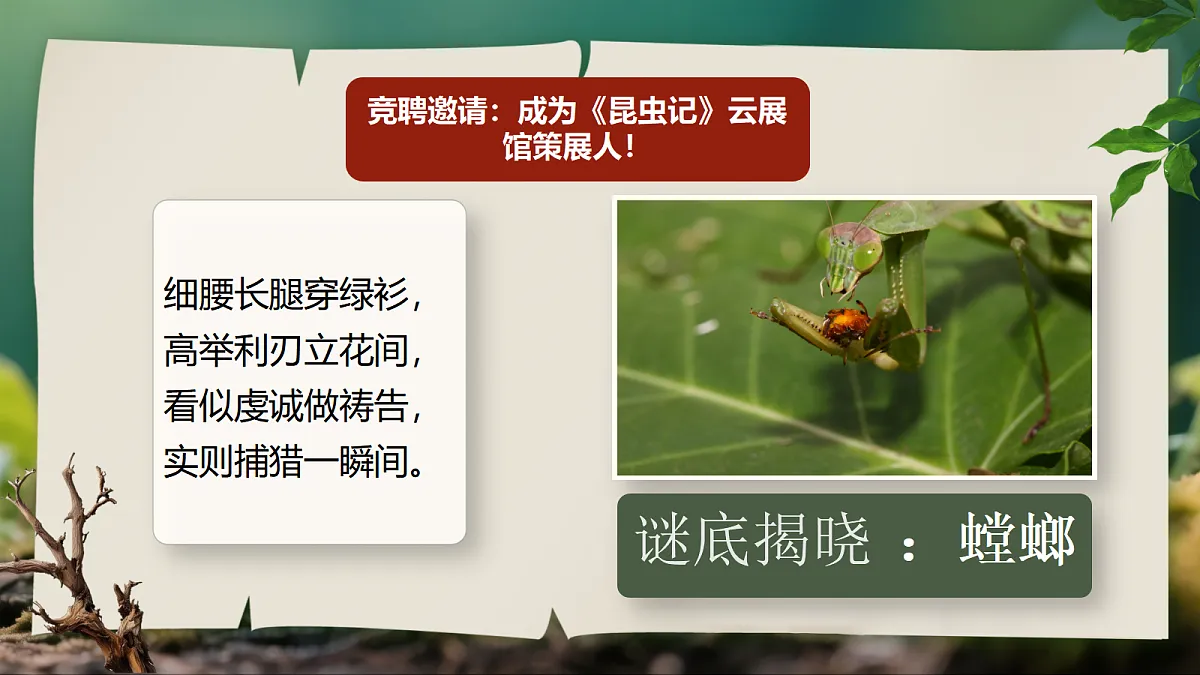 18496444第6页