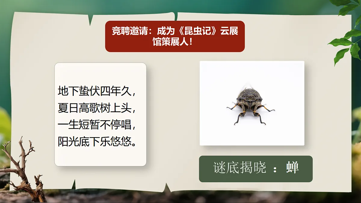 18496444第7页