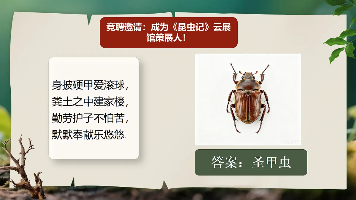 18496444第8页