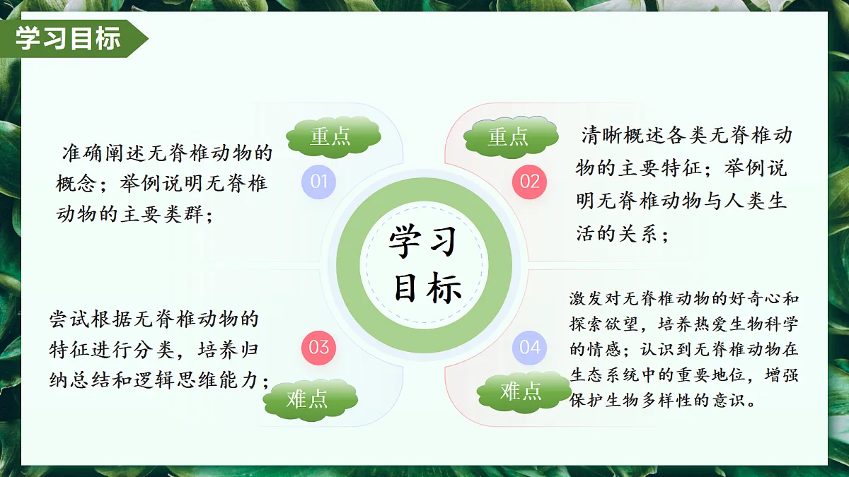 2.2.1 无脊椎动物 - 初中生物七年级上册 同步教学课件（人教版2024）第2页