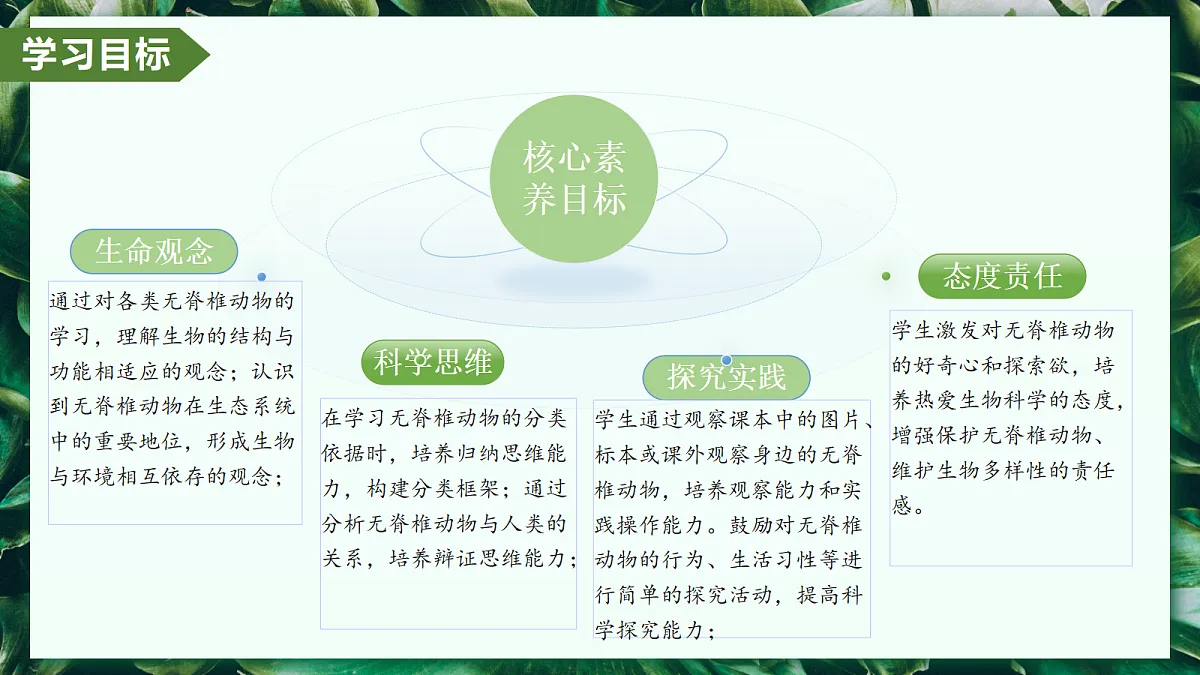 2.2.1 无脊椎动物 - 初中生物七年级上册 同步教学课件（人教版2024）第3页
