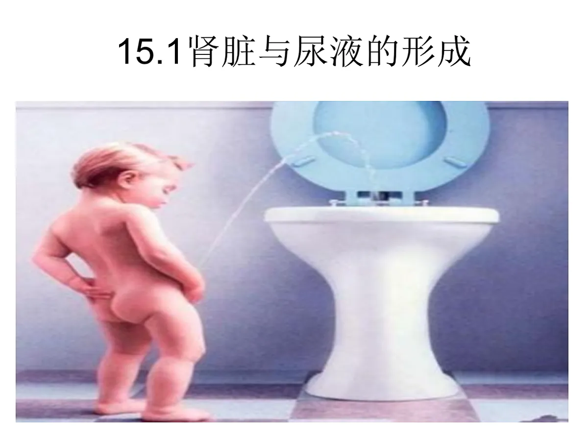 18497568第1页