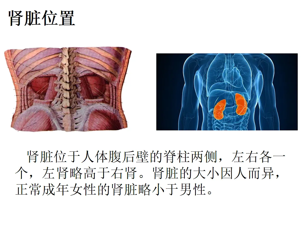 18497568第2页