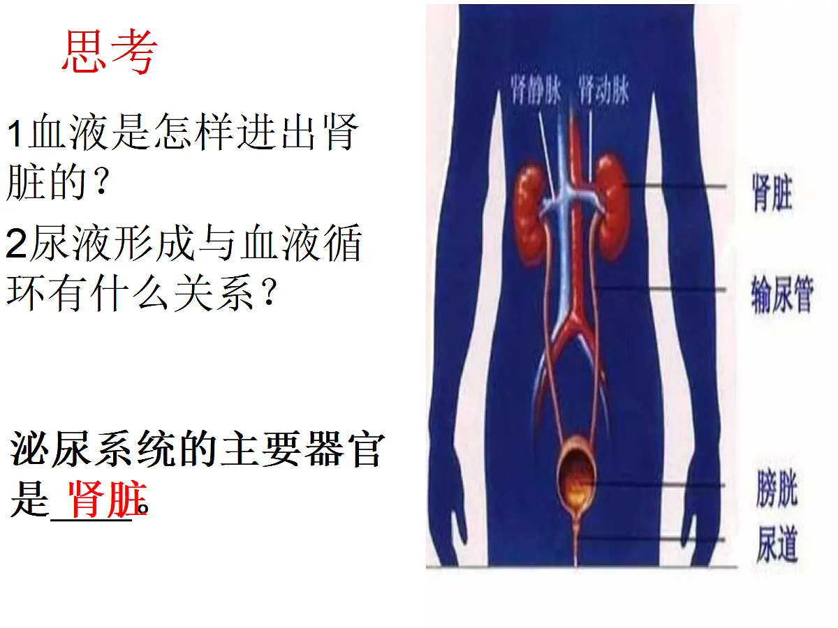 18497568第4页