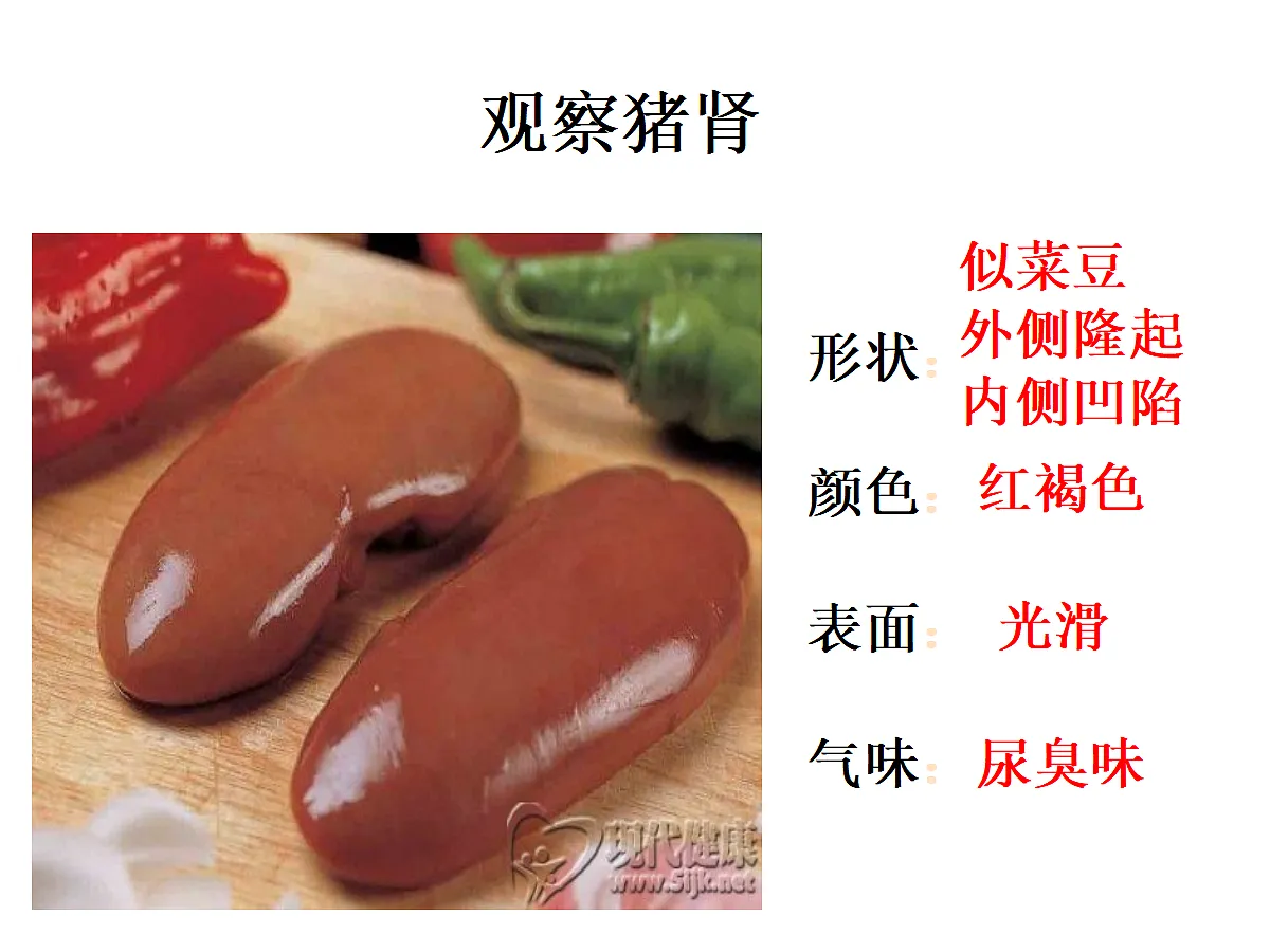 18497568第5页