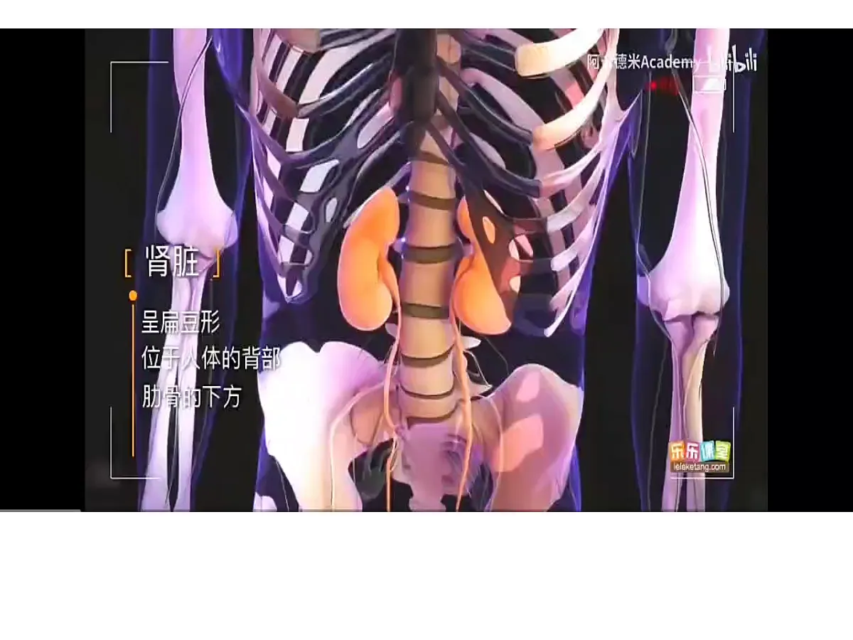 18497568第7页
