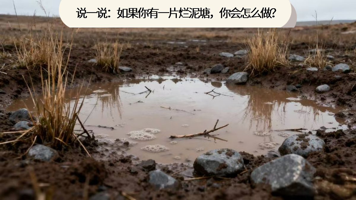 21.青蛙卖泥塘第5页