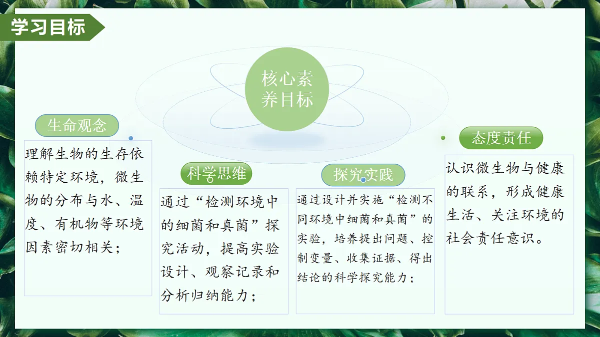 2.3.1 微生物的分布 - 初中生物七年级上册 同步教学课件（人教版2024）第3页