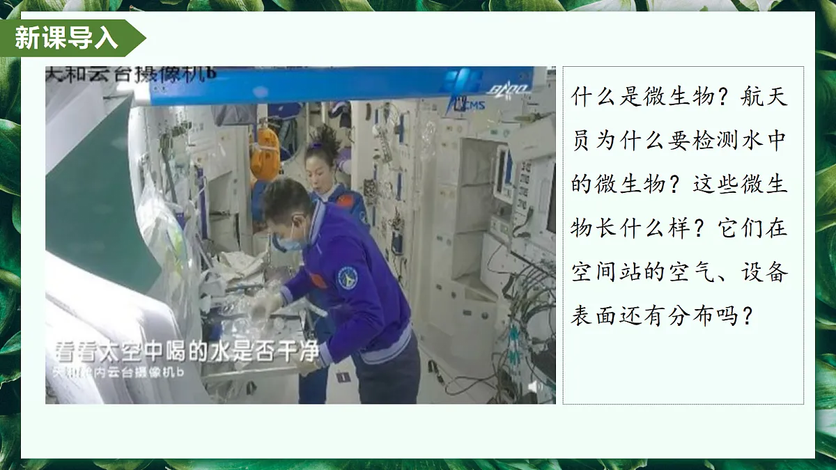 2.3.1 微生物的分布 - 初中生物七年级上册 同步教学课件（人教版2024）第4页