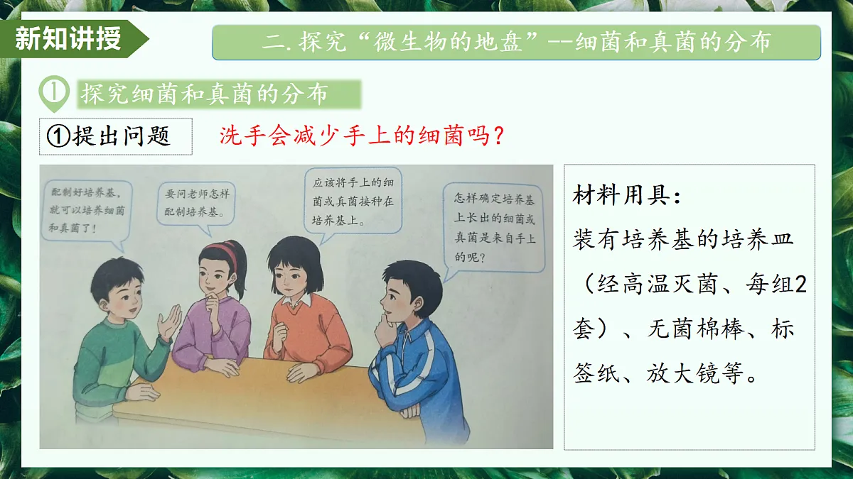 2.3.1 微生物的分布 - 初中生物七年级上册 同步教学课件（人教版2024）第8页