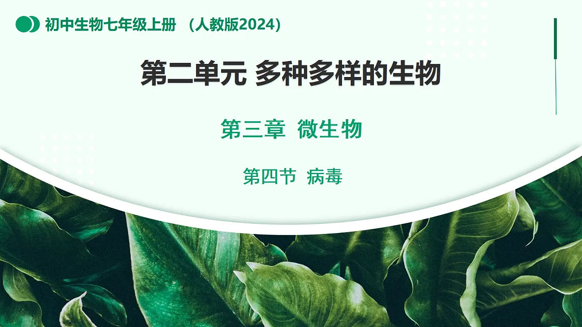 2.3.4 病毒 - 初中生物七年级上册 同步教学课件（人教版2024）第1页