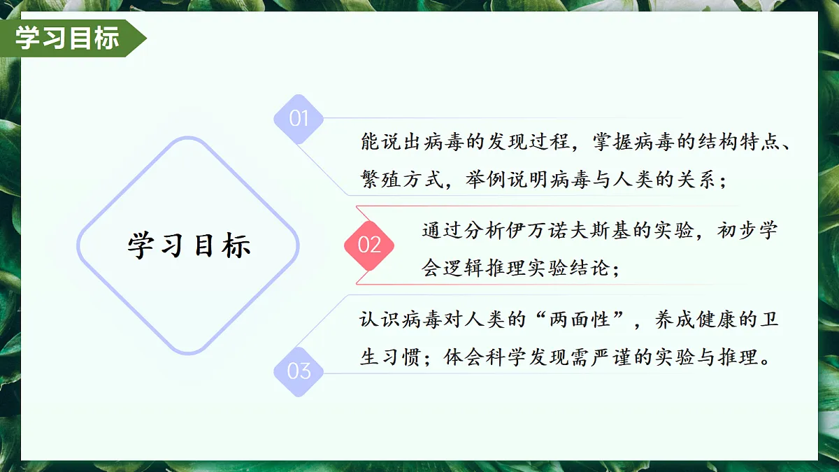 2.3.4 病毒 - 初中生物七年级上册 同步教学课件（人教版2024）第2页