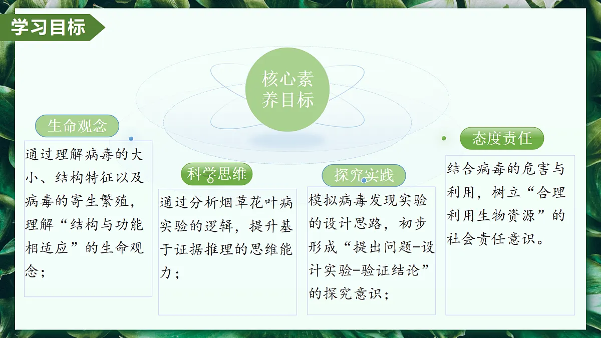 2.3.4 病毒 - 初中生物七年级上册 同步教学课件（人教版2024）第3页