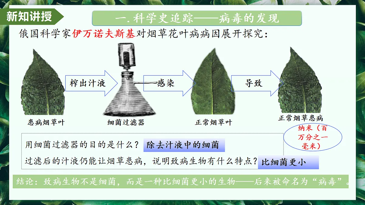 2.3.4 病毒 - 初中生物七年级上册 同步教学课件（人教版2024）第5页