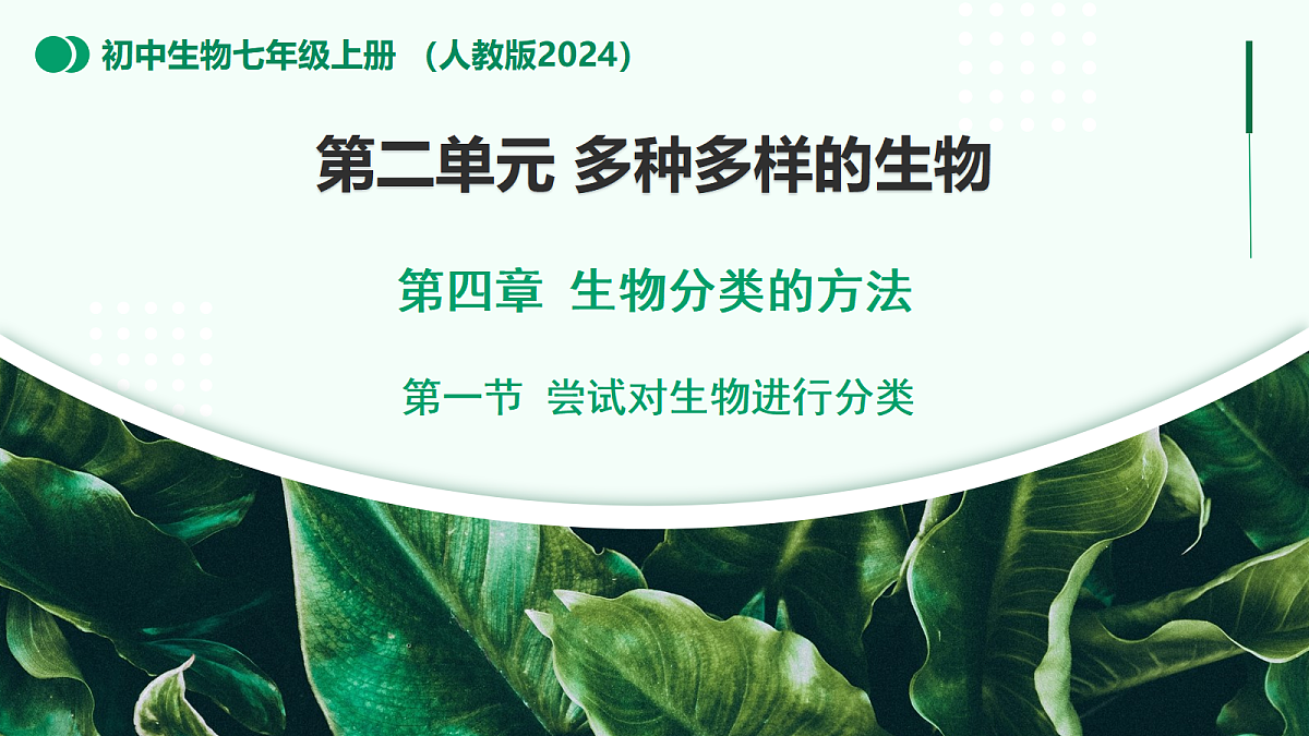 2.4.1 尝试对生物进行分类 - 初中生物七年级上册 同步教学课件（人教版2024）第1页