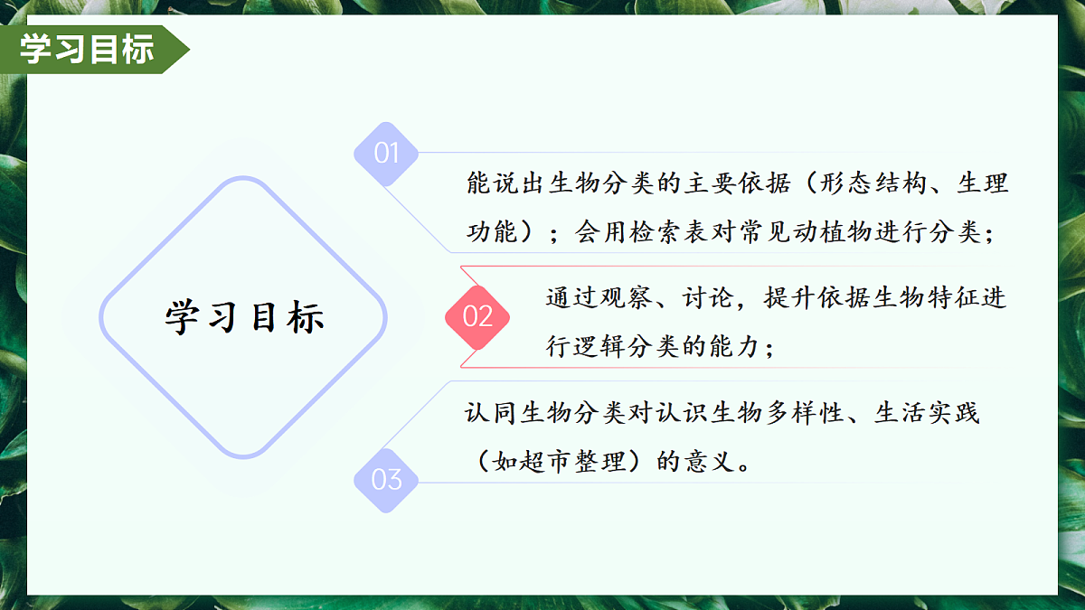 2.4.1 尝试对生物进行分类 - 初中生物七年级上册 同步教学课件（人教版2024）第2页