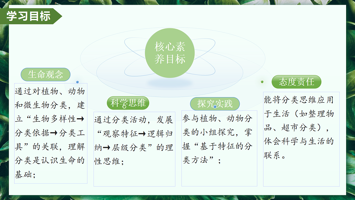 2.4.1 尝试对生物进行分类 - 初中生物七年级上册 同步教学课件（人教版2024）第3页