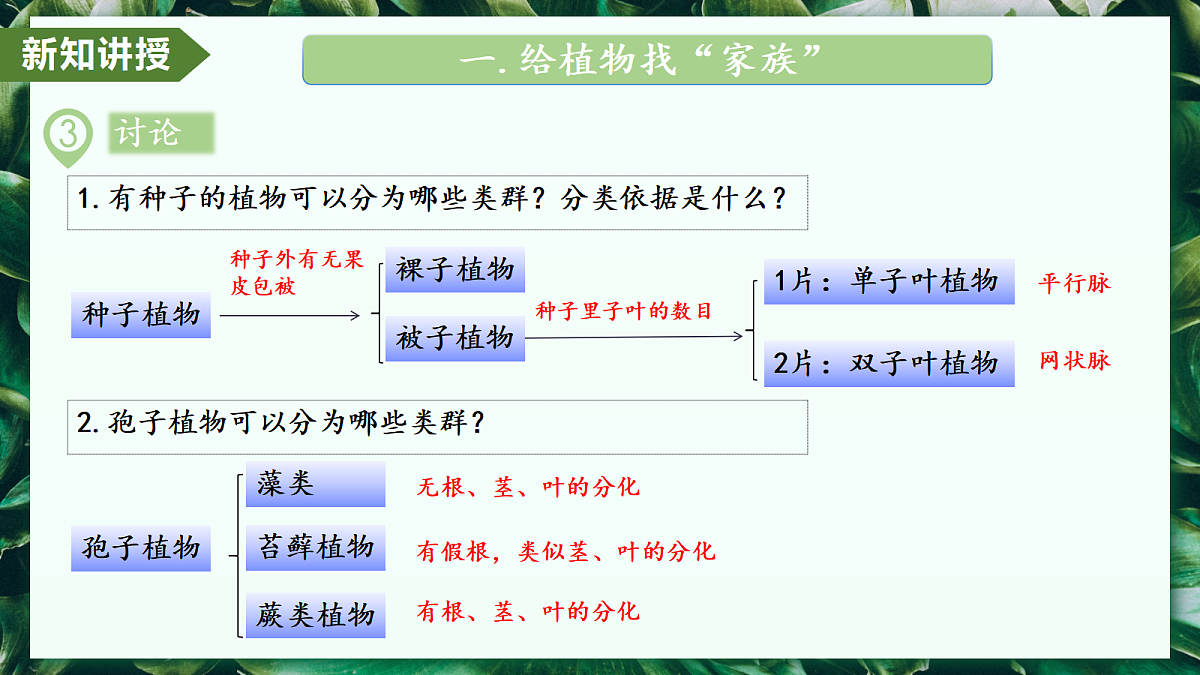 2.4.1 尝试对生物进行分类 - 初中生物七年级上册 同步教学课件（人教版2024）第7页