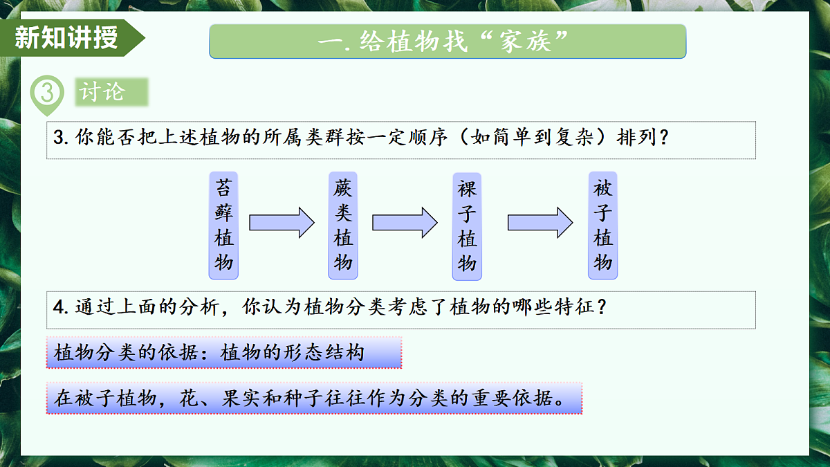 2.4.1 尝试对生物进行分类 - 初中生物七年级上册 同步教学课件（人教版2024）第8页