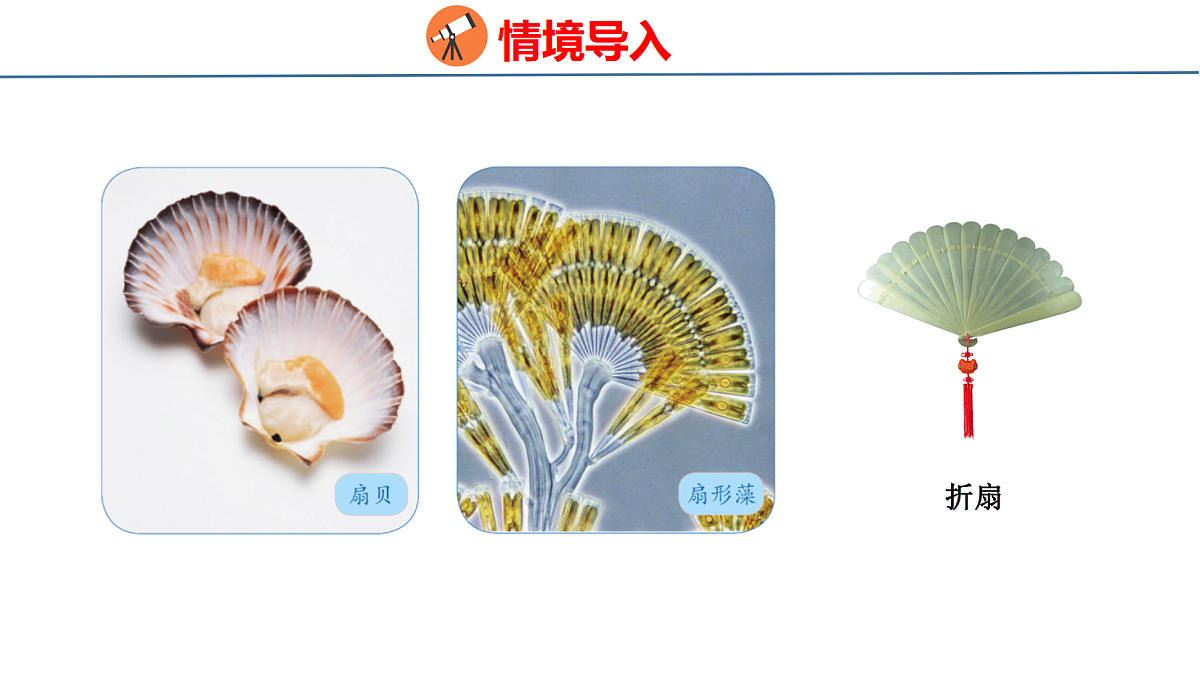 18500980第3页