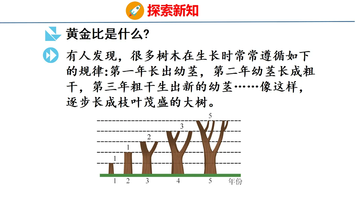 18500982第6页