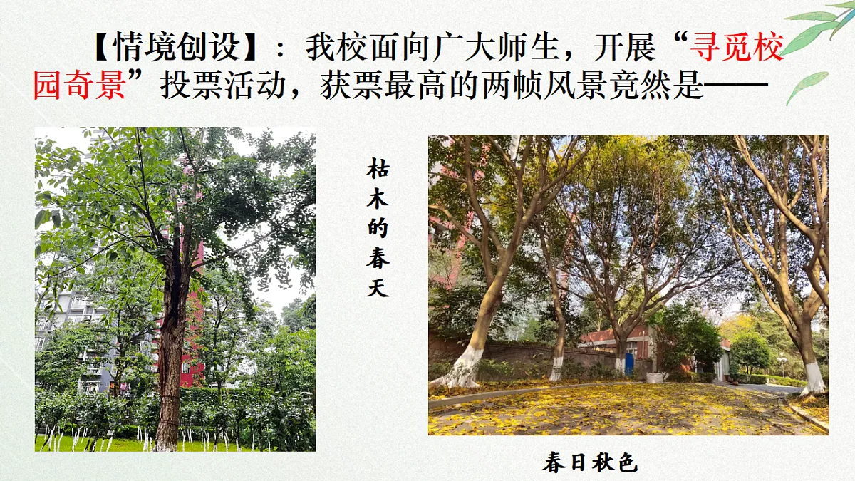 18501865第2页