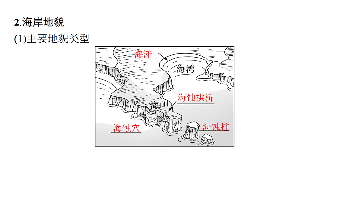 18502781第7页