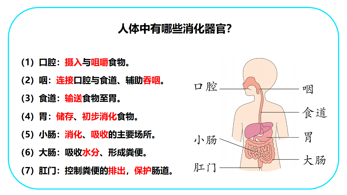 18503482第7页