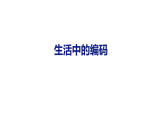 生活中的编码（课件）2026-2027学年西南师大版四年级数学上册