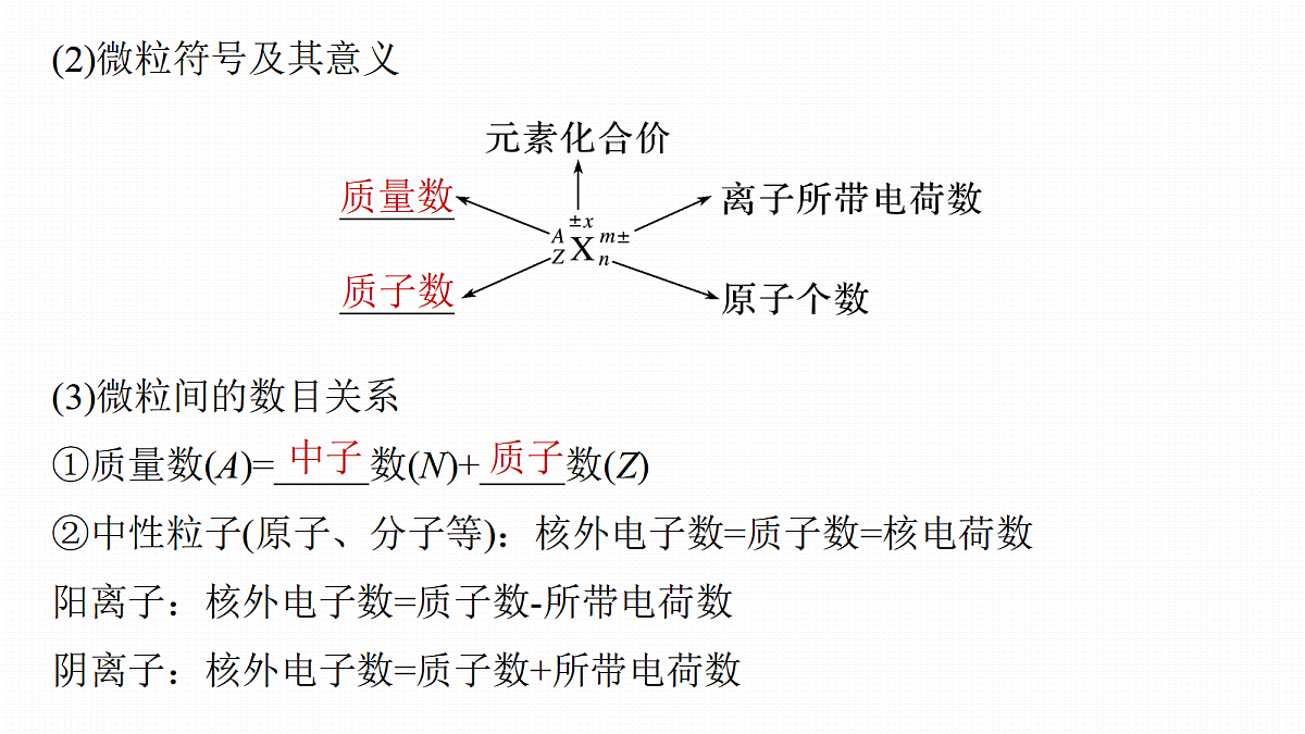 18505056第5页