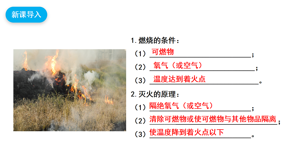 【教育好课堂】实验活动4 课件PPT第4页