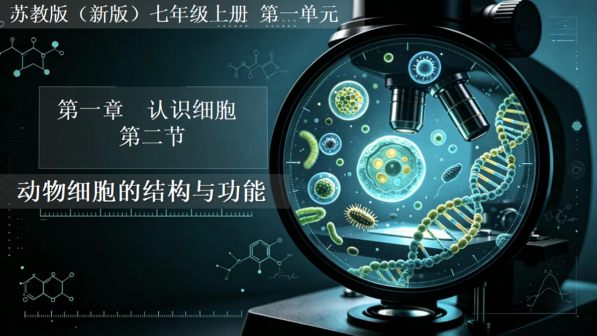 1.1.2 动物细胞的结构与功能 同步课件 2026-2027学年苏教版新版生物七年级上册第1页