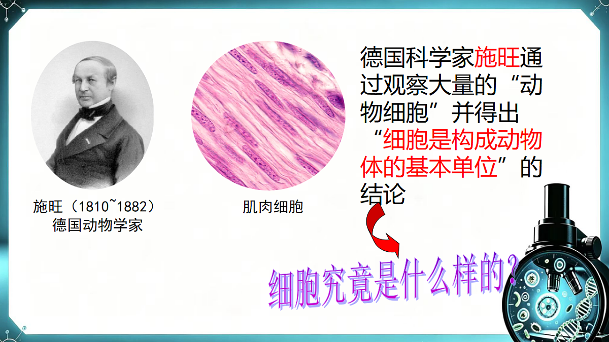 1.1.2 动物细胞的结构与功能 同步课件 2026-2027学年苏教版新版生物七年级上册第6页