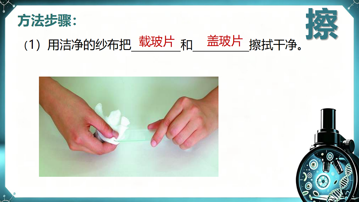 1.1.2 动物细胞的结构与功能 同步课件 2026-2027学年苏教版新版生物七年级上册第8页