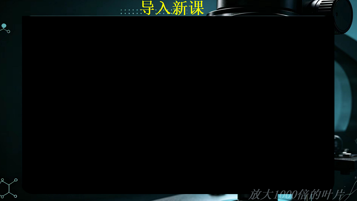1.1.3 植物细胞的结构与功能 同步课件  2026-2027学年苏教版新版生物七年级上册第4页
