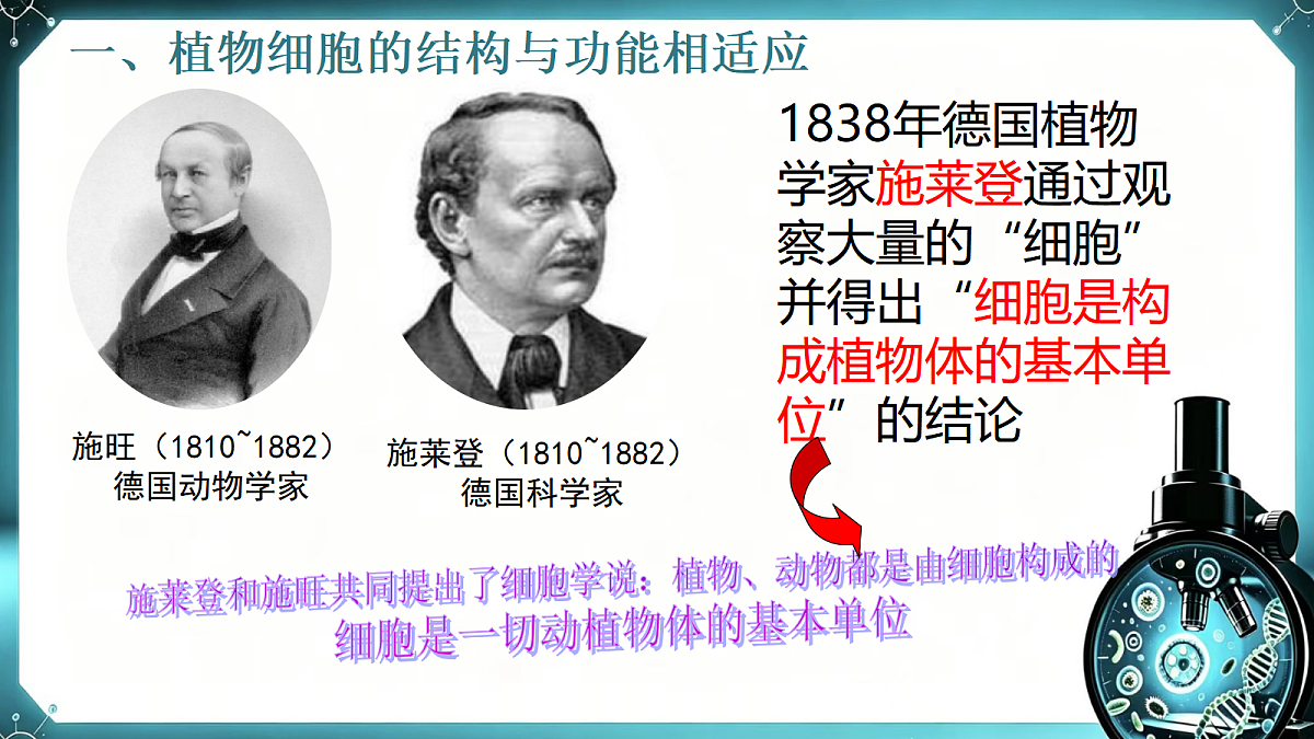 1.1.3 植物细胞的结构与功能 同步课件  2026-2027学年苏教版新版生物七年级上册第5页