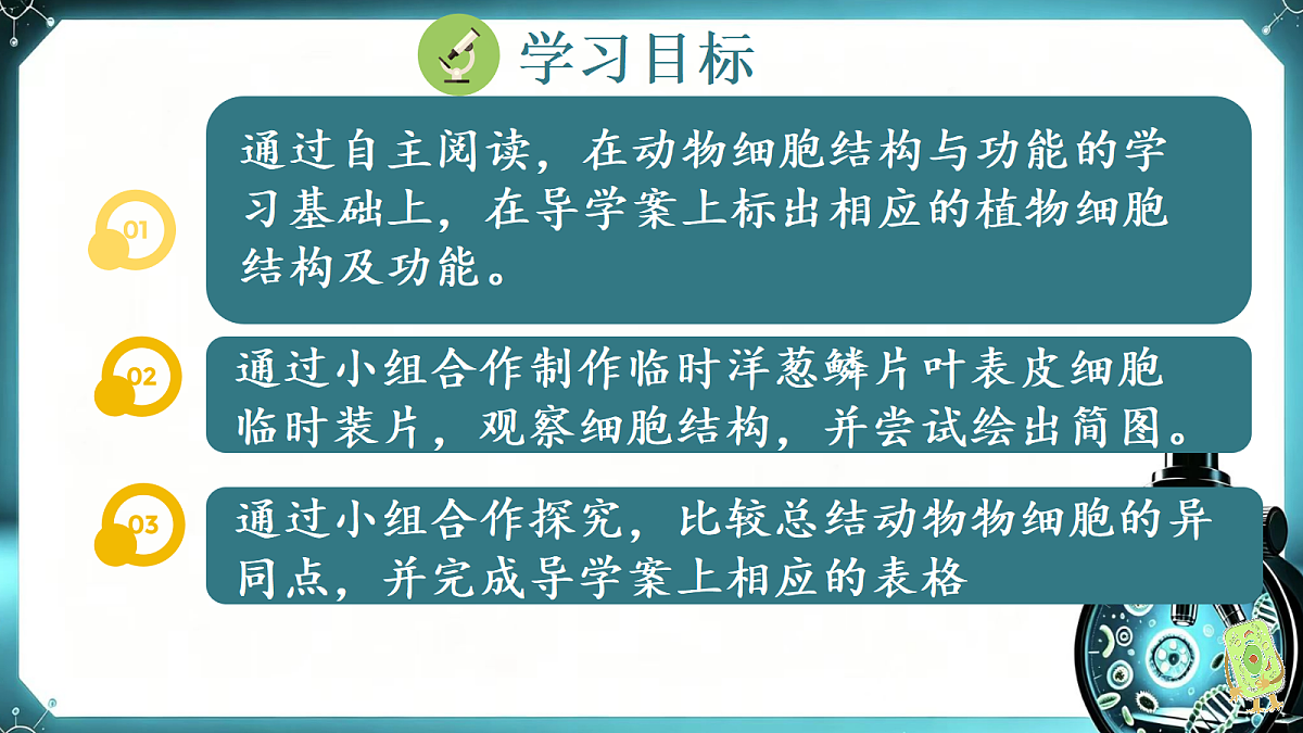 1.1.3 植物细胞的结构与功能 同步课件  2026-2027学年苏教版新版生物七年级上册第6页