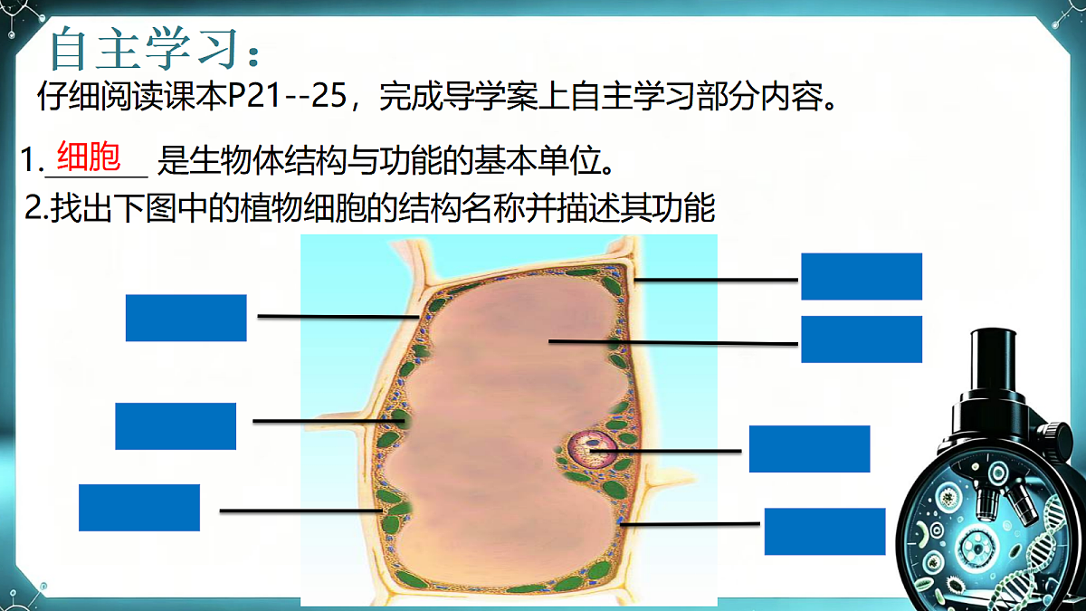 1.1.3 植物细胞的结构与功能 同步课件  2026-2027学年苏教版新版生物七年级上册第8页