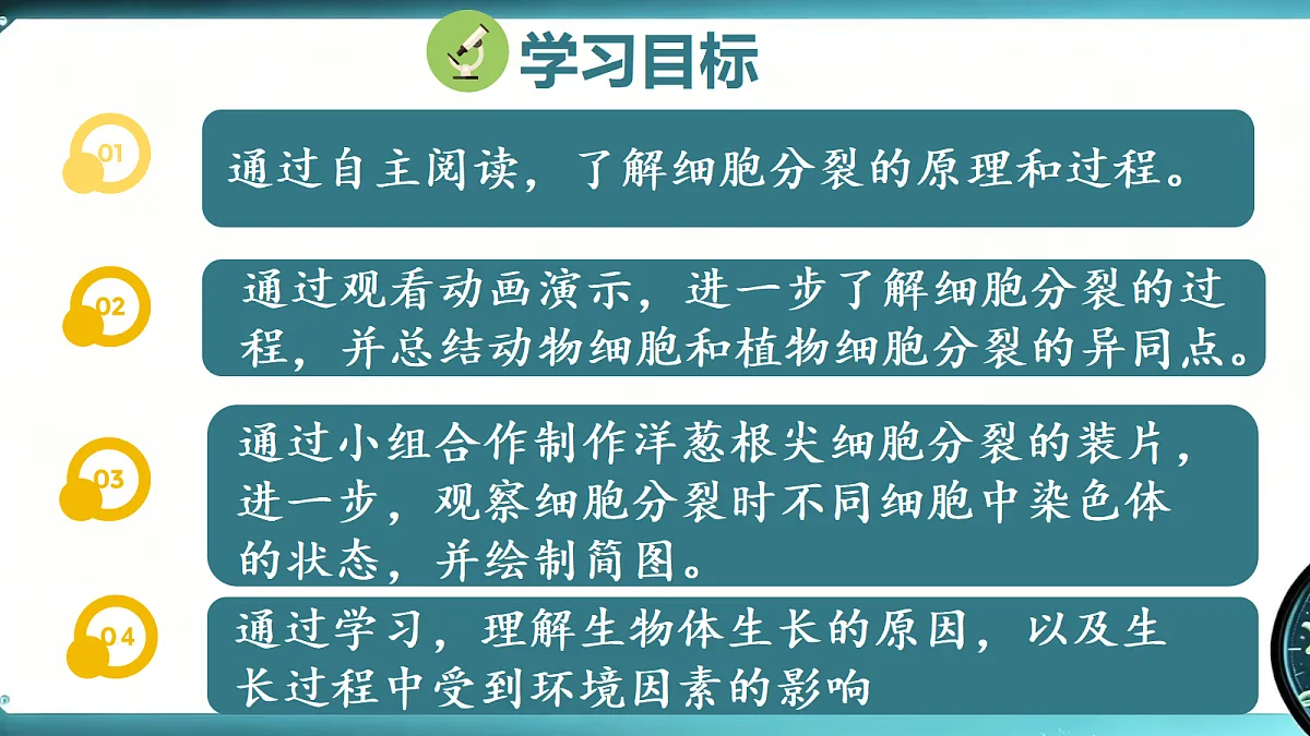 1.2.1 细胞的分裂和分化（第1课时）同步课件第4页