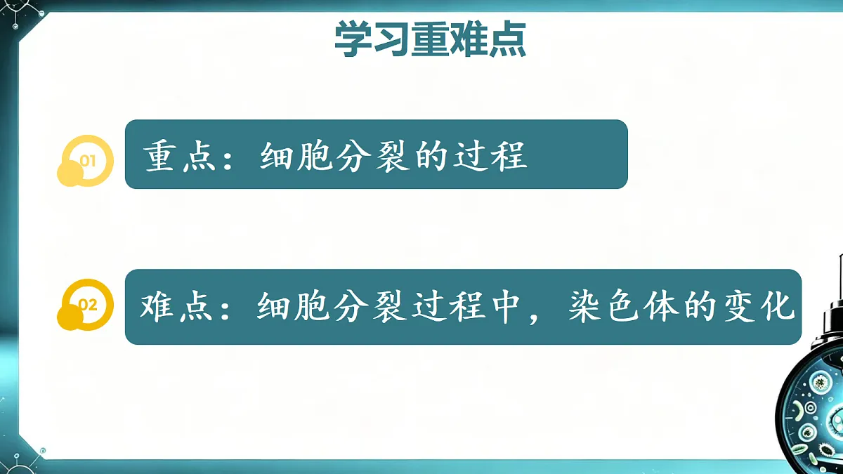 1.2.1 细胞的分裂和分化（第1课时）同步课件第5页