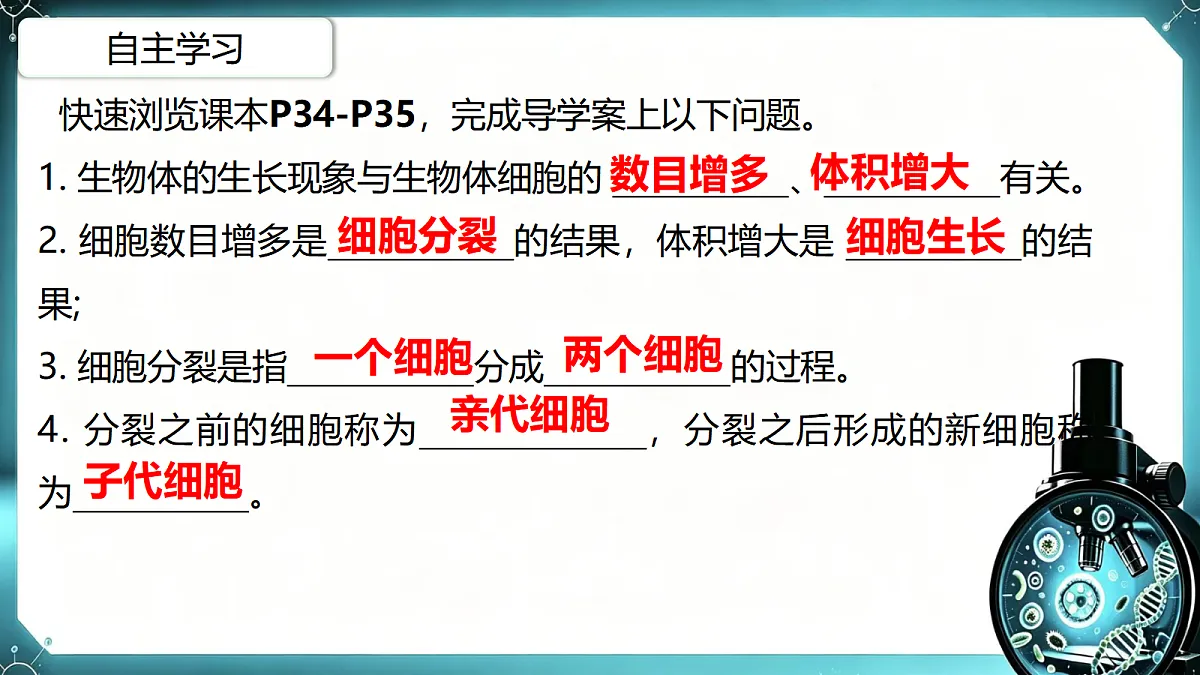 1.2.1 细胞的分裂和分化（第1课时）同步课件第6页