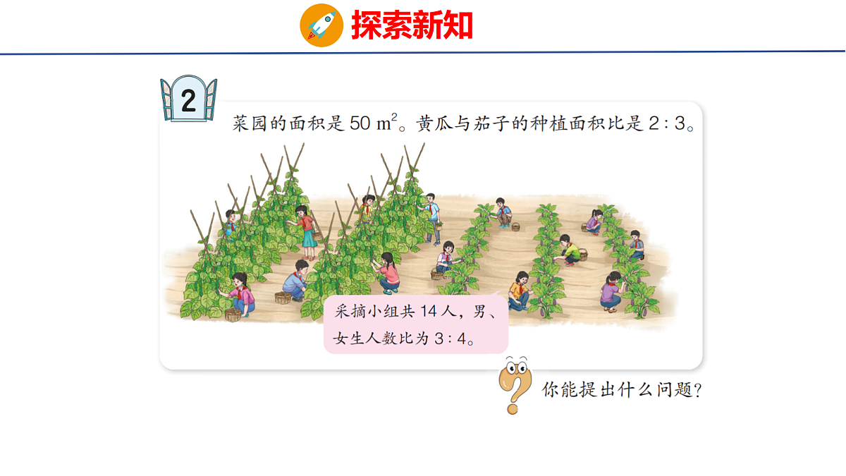 18507798第4页