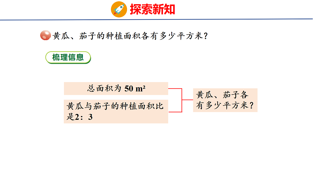 18507798第5页