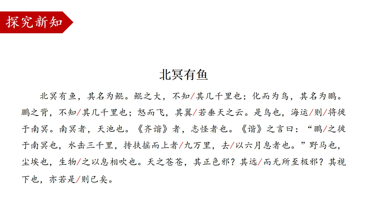 18507823第7页